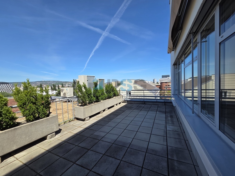 South Buda Business Park