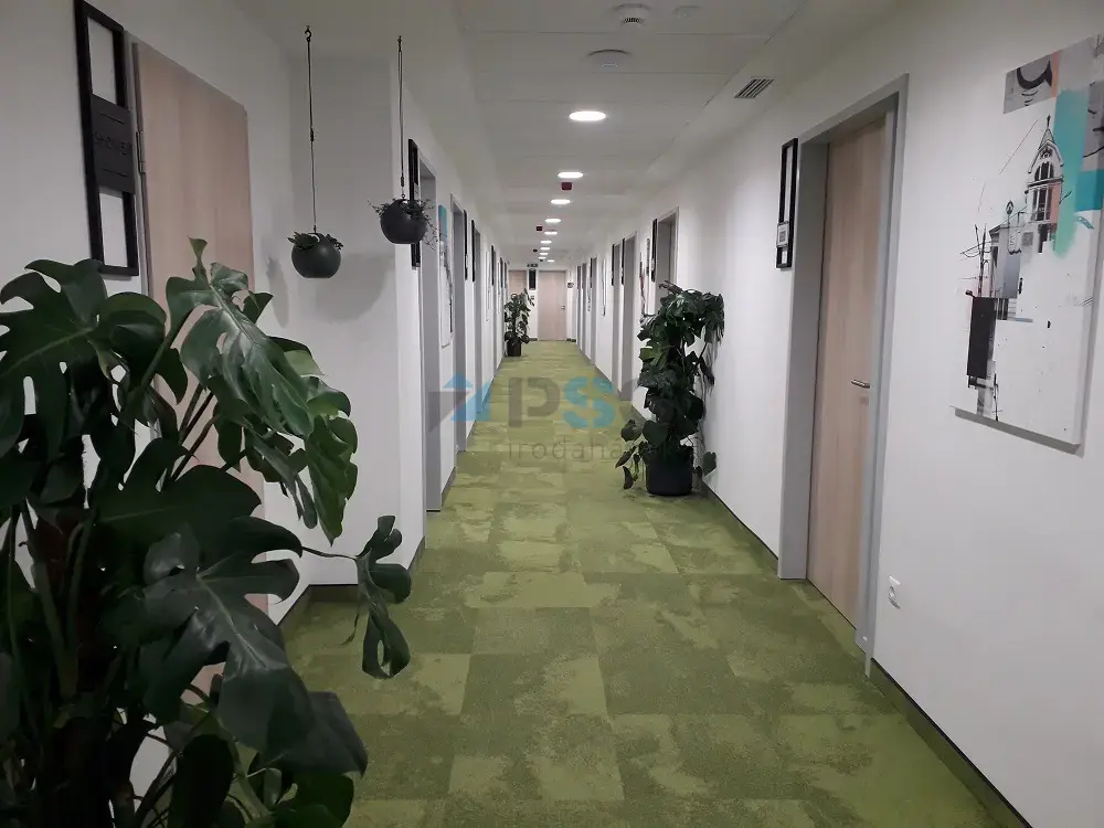 DBH BSQ Business Center