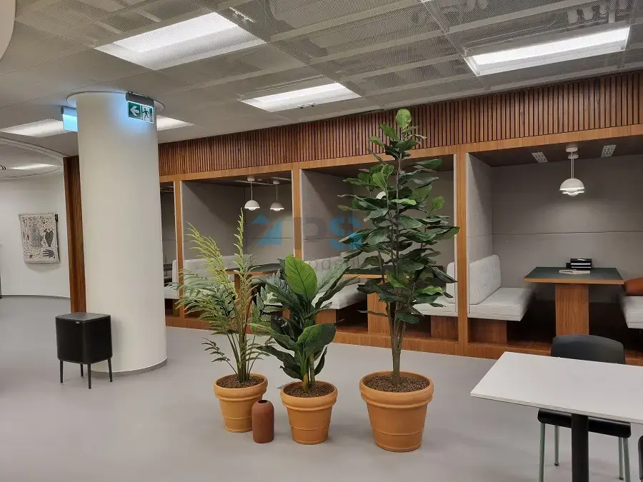 Szervita Square Signature