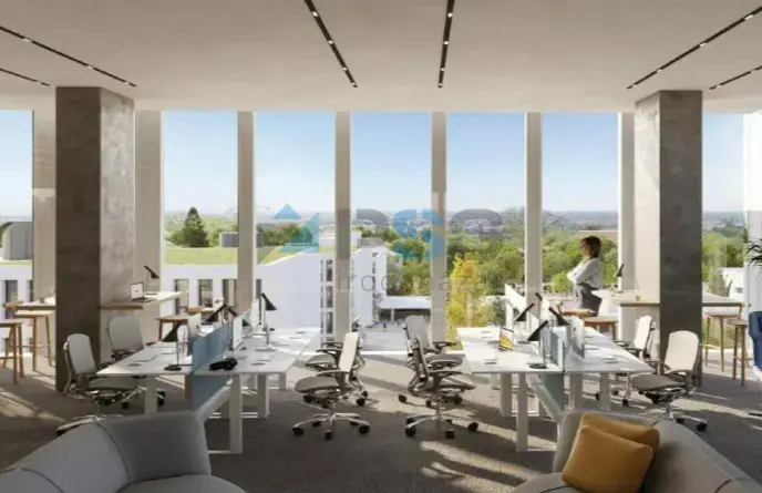 P59 Office Park