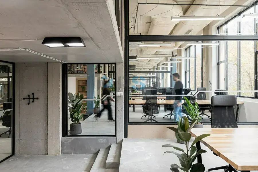 PUZL CowOrKing